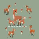 Zvěř a  zvířata v lesích a na polích kolem nás 1